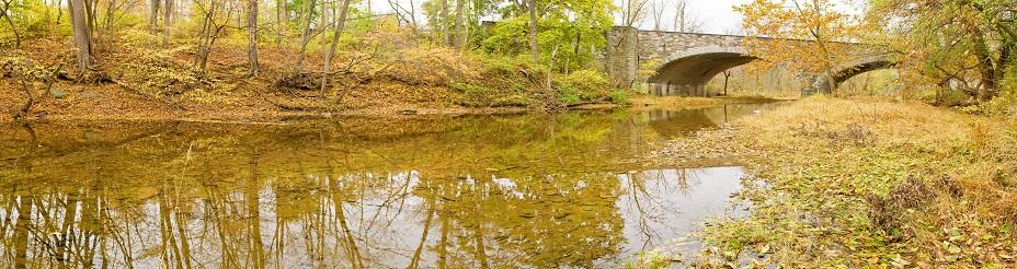 Wetland