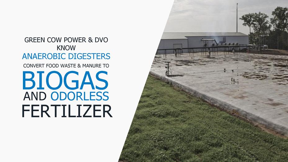Green Cow Power and DVO know anaerobic digesters convert food waste and manure to biogas and odorless fertilizer