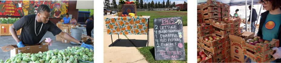 This is a group of three pictures, one of which is a man sorting brussel sprouts, another is a table with vegetables on it with a sign explaining what is in each bag of veggies and the last is of two volunteers gathering mangoes.