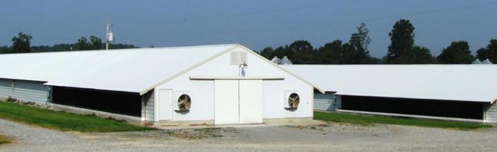 Poultry house at Mac Farms
