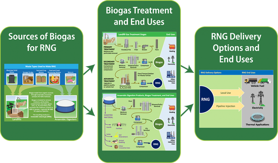 A flowchart with four small clickable diagram images. The first diagram shows sources of biogas that can be used to create renewable natural gas. The second diagram shows treatment stages for landfill gas to be used as biogas. The third diagram shows treatment stages for anaerobic digester gas to be used as biogas. The fourth diagram shows basic delivery methods and end uses of renewable natural gas. Clicking on any of the small diagram images will open a full-size version of that diagram with more information about its contents.