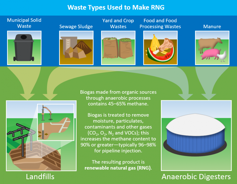 This diagram shows the waste types that can be used to create renewable natural gas and how these waste types are either deposited in landfills or anaerobic digesters. Waste types of municipal solid waste, sewage sludge, yard and crop wastes, and food and food processing wastes can be deposited into municipal solid waste landfills. Waste types of sewage sludge, yard and crop wastes, food and food processing wastes, and manure can be deposited into anaerobic digesters. Both landfills and anaerobic digesters create biogas. Biogas made from organic sources through anaerobic processes contains 45 to 65 percent methane. Biogas is treated to remove moisture, particulates, contaminants and other gases (including carbon dioxide, oxygen, nitrogen, and volatile organic compounds); this increases the methane content to 90 percent or greater, typically 96 to 98 percent methane for pipeline injection. The resulting product is renewable natural gas.