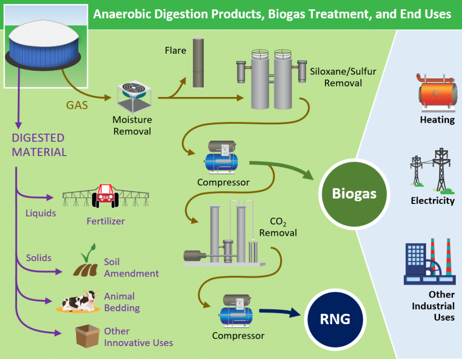This diagram shows the basic products from anaerobic digestion and the basic components of treatment for anaerobic digester gas to be used as a biogas. The digested material that is liquid can be used as fertilizer. The digested material that is solid can be used as a soil amendment, for animal bedding or for other innovative uses. The anaerobic digester gas has moisture removed for combustion in a flare or the gas can have moisture removal plus siloxane/sulfur removal and then be compressed for use as a biogas. The biogas has various end uses in three main categories: heating, electricity and other industrial uses, or can be treated further. The biogas can be further treated for carbon dioxide removal and additional compression, resulting in renewable natural gas.
