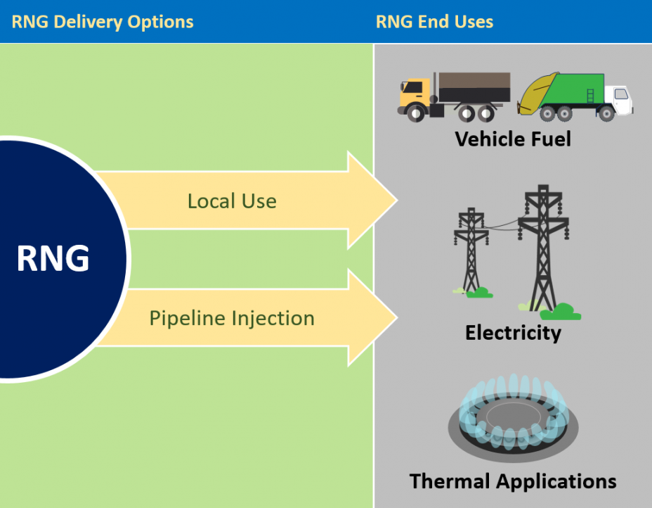 This diagram shows the basic delivery methods of renewable natural gas as either Local Use or Pipeline Injection; and shows the basic end uses of renewable natural gas as Vehicle Fuel, for Electricity or in Thermal Applications.
