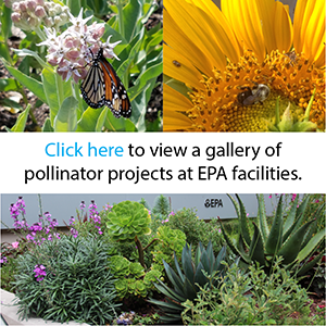 Tap or click this button to view a gallery of pollinator projects at EPA Facilities