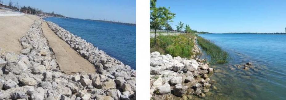 Photo of Marysville shoreline restoration.