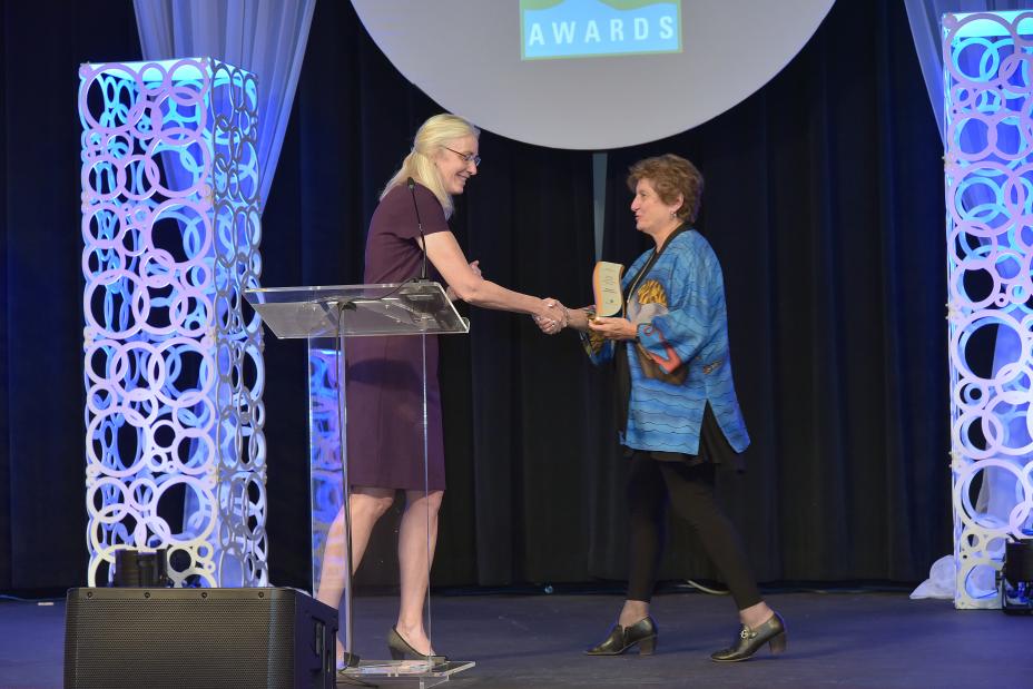 Mary Ann Dickinson accepts Excellence in Strategic Collaboration Award for the Alliance for Water Efficiency.