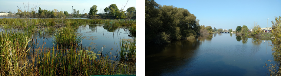 Photos of These photos from 2017 show progress after removing contaminated sediment.