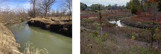 photos of Before (left) and after (right) pictures of stream bank habitat and structure. The eroded streambanks were contributing to sedimentation in Partridge Creek, the streambanks were stabilized and diverse habitat with native plants was added.