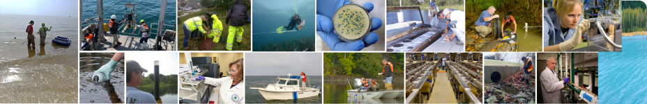 EPA water researchers at work