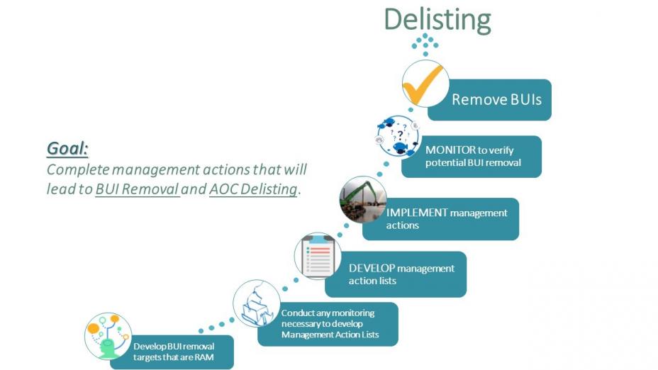graphic of Complete Management Actions Delisting Chart