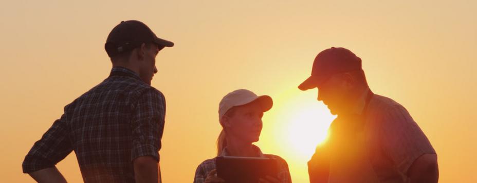 a woman and two men talking with a sunset in the background