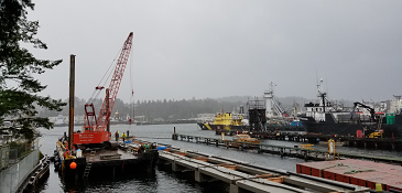 Image of Ship Canal Water Quality Project