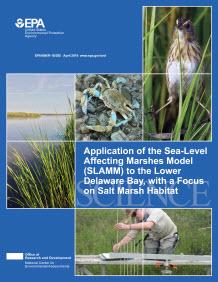 Cover of the final Sea-Level Affecting Marshes Model Report (2019)