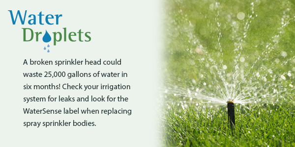 A broken sprinkler head could waste 25,000 gallons of water in six months! Check your irrigation system for leaks and look for the WaterSense label when replacing spray sprinkler bodies.