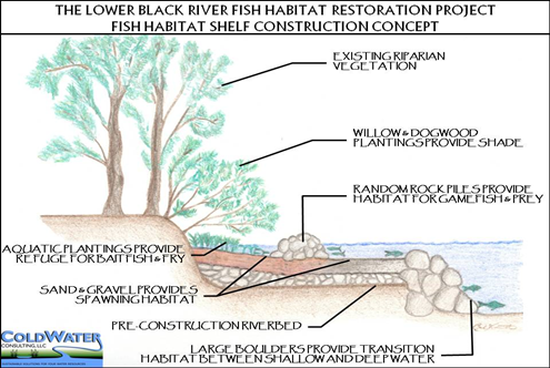 Diagram of fish shelf construction using “build-out” technique.