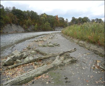 photo of fish shelf at low level.