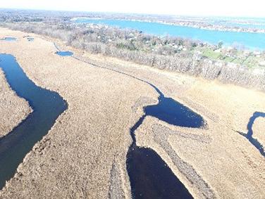 Aerial photo of the newly constructed channels and potholes in Buck Pond