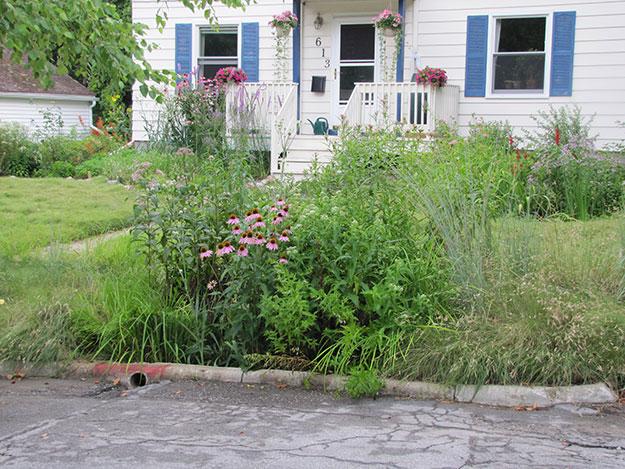 Yard with a rain garden