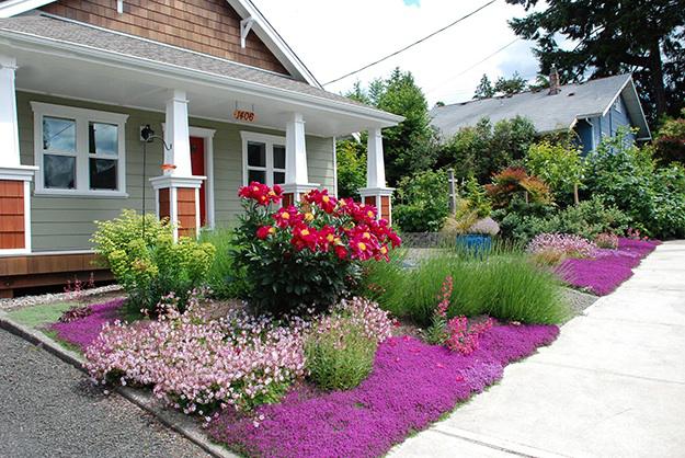 No-turf landscape with native plants