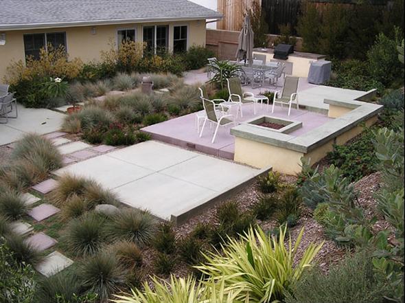 Yard with low-water-using plants 