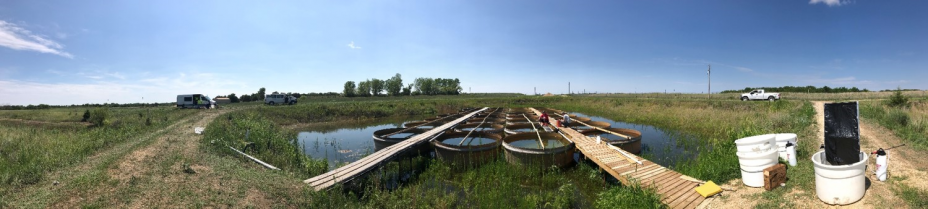 image of Tanks research project HABs story