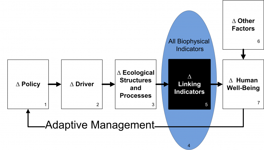 Conceptual model for Adaptive Management from Boyd et al. 2016