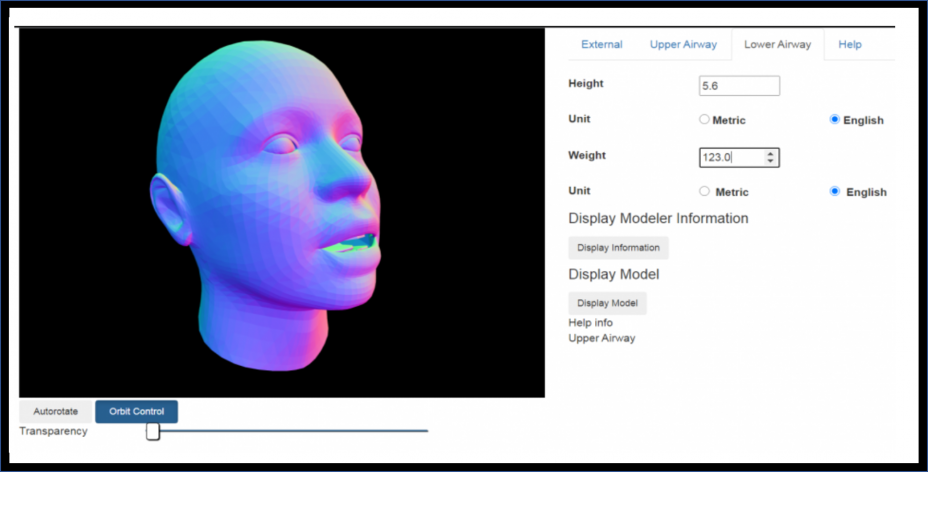 User interface for defining height and weight, which determines model scaling down to the five lobes