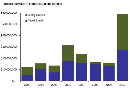 Chart showing the commercial value of Chinook salmon fisheries in the Salish Sea since 2003.