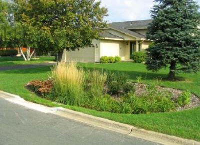 Photo of side yard of house planted with rain garden