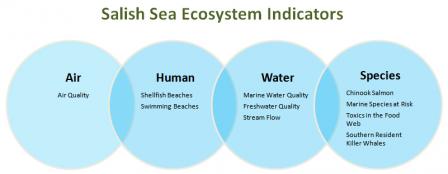 Diagram showing interconnection between the ten ecosystem indictors being studied in EPA and Environment Canada's Health of the Salish Sea Ecosystem Report.