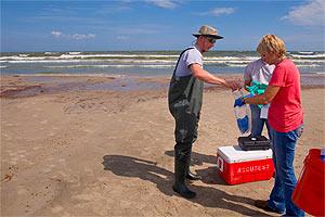 Photo of people monitoring beach