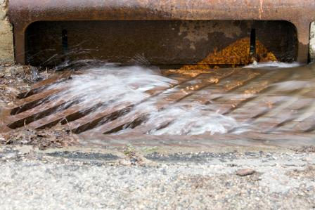 Chesapeake Bay drain