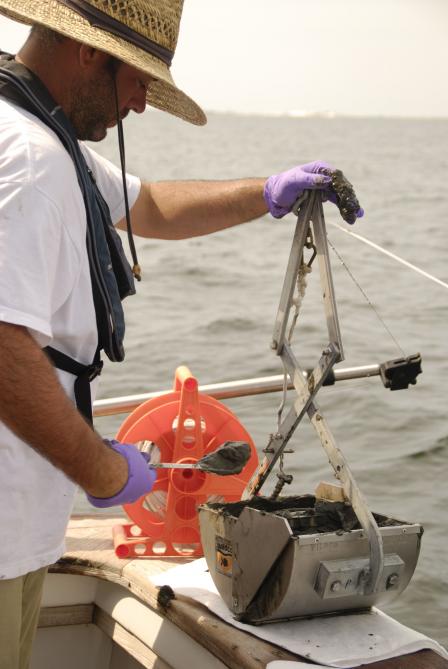 Sediments dredged using a Ponar grab sampler will be evaluated for the presence of crustaceans, mollusks, worms and other creatures that live on the ocean floor.