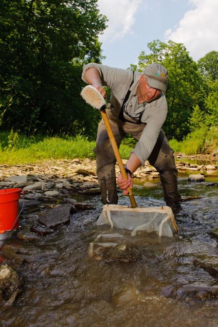 Sampling for tiny aquatic insects provides information on the biological condition of rivers and streams.