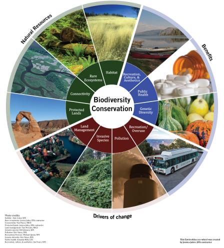 Eco-Wheel for Biodiversity Conservation benefit category. Sections are natural resources, benefits, and drivers of change.