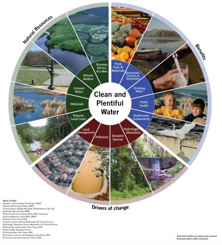 EnviroAtlas Eco-wheel on Clean and Plentiful Water: Shows the resources that provide this service, the benefits to society, and drivers of change.
