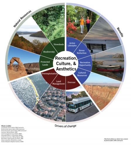 Recreation, culture, and aesthetics Eco-Wheel showing the natural resources providing the benefits to beneficiaries. 