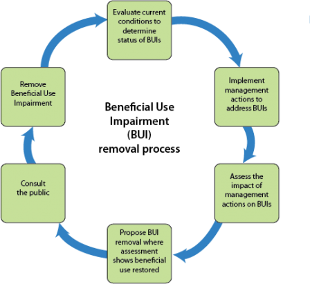 diagram showing steps toward removing beneficial use impairments