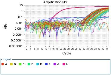 Map of application curves showing the presence of viral nucleic acids in water samples