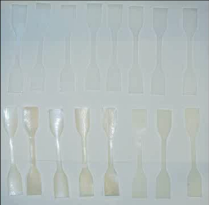 Plastics with different levels of decay based on exposure to sunlight