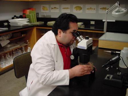 Photo of biologist examing sample in microscope.