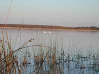 Lakes are a focus of this study.