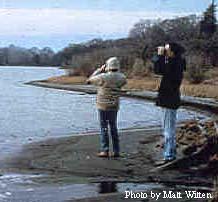 people looking in binoculars