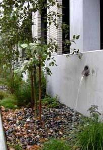 water flowing from disconnected downspout onto permeable gravel and vegetation