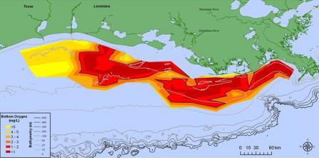 2015 Gulf Hypoxia Measured Zone Area Size