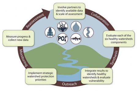 The watershed assessment and protection process
