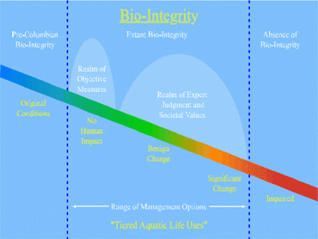 bioingrity graph