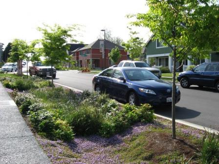 Bioswale next to residential street curb