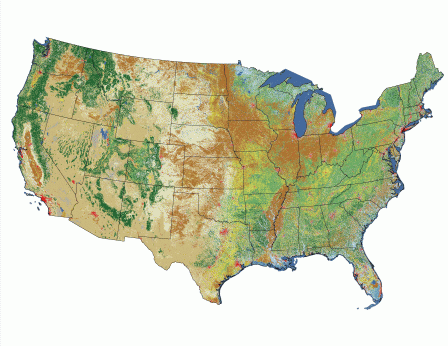 land cover image of the contiguous United States